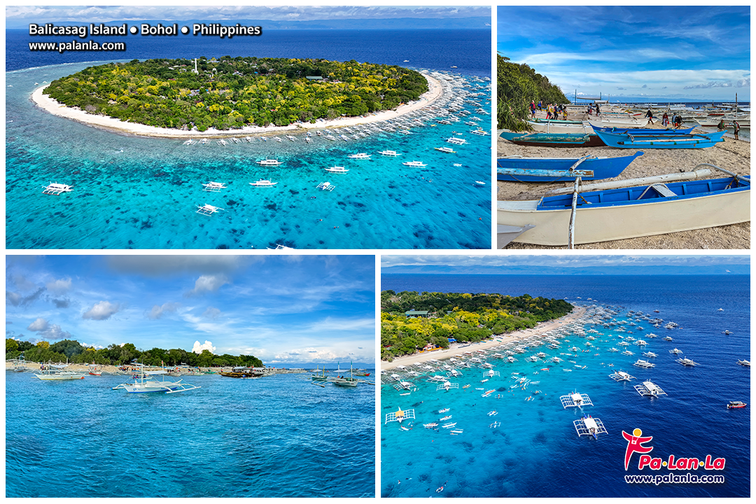 Top 5 Travel Destination in Bohol